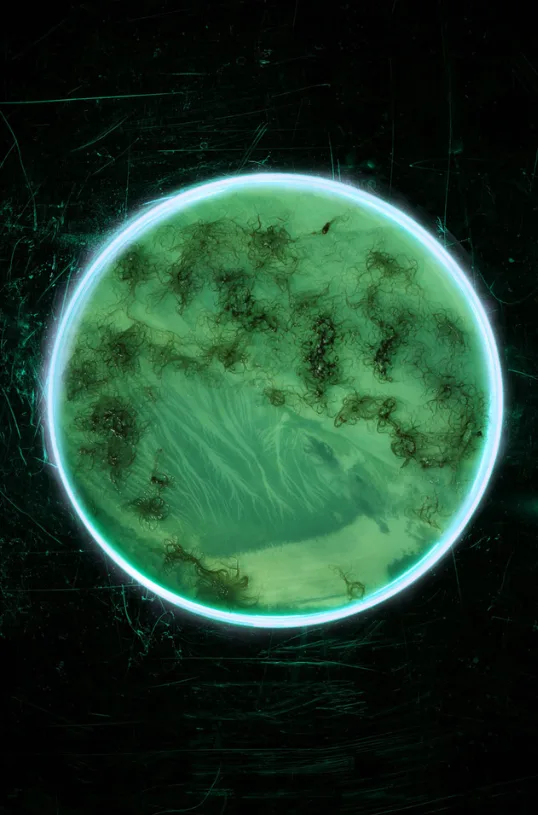 Un disque lumineux vert, comme une boîte de Petri, rempli d'algues filamenteuses, sur un fond noir rayé, par Alice Pallot.