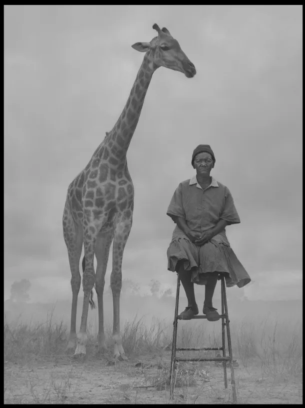 En noir et blanc, une femme assise sur une haute chaise à côté d'une girafe, dans une plaine voilée de brume, par Nick Brandt.