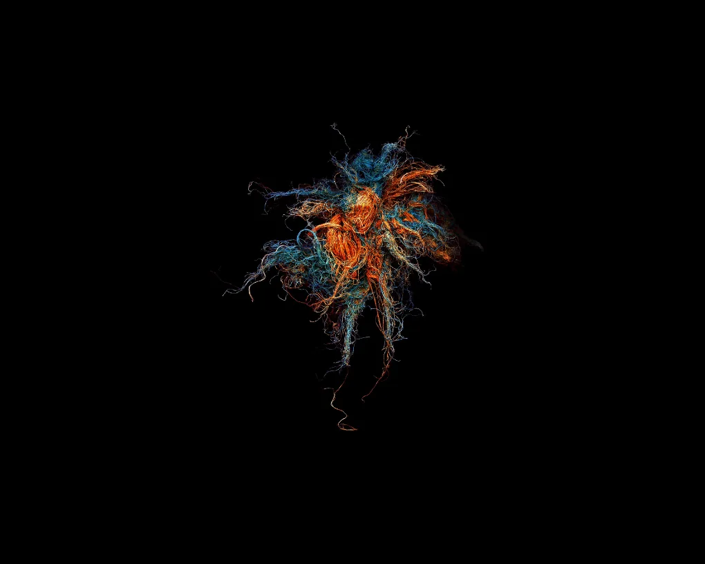 Pelote de cordages effilochés bleus et orange, flottant sur fond noir comme une méduse, par Mandy Barker, série « SOUP ».