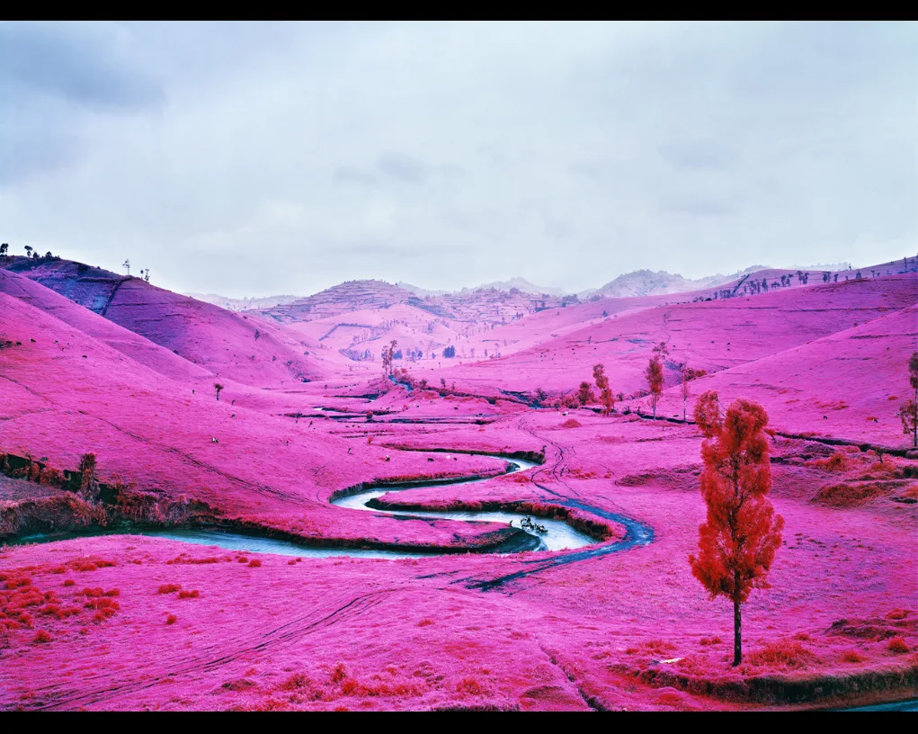 Paysage de collines entièrement roses traversé par une rivière sinueuse, un arbre rouge au premier plan, par Richard Mosse.