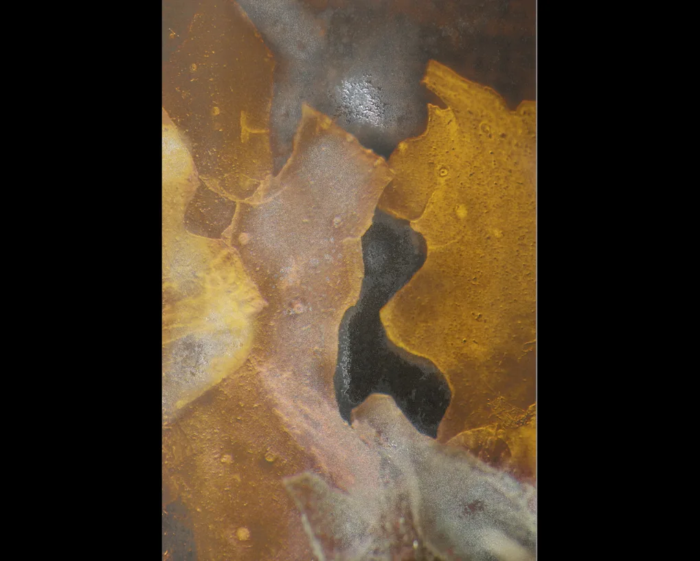 Image abstraite verticale aux matières dorées, rouille et grises, traversée en son centre par une forme noire sinueuse.
