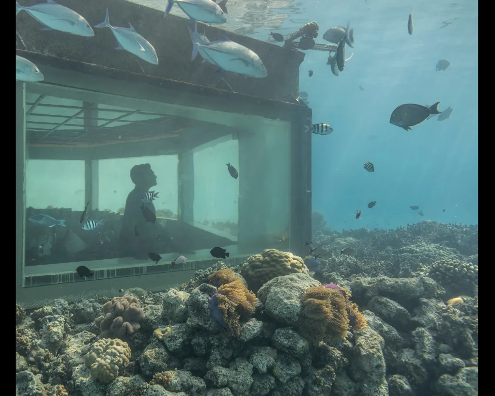 Une silhouette derrière la vitre d'une salle sous-marine posée sur un récif, entourée de poissons et de coraux, par Marco Zorzanello.