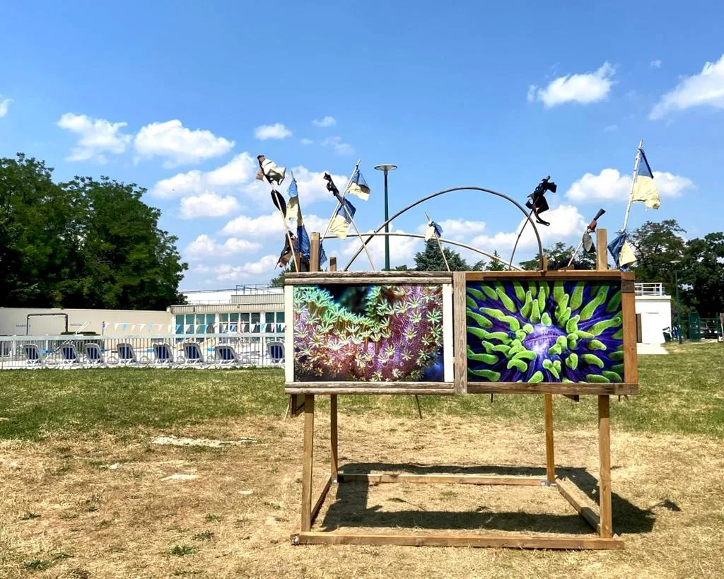 Deux photographies de coraux de Pete West sur un châssis en bois, posé sur la pelouse de la piscine de Sucy-en-Brie, sous un ciel bleu.