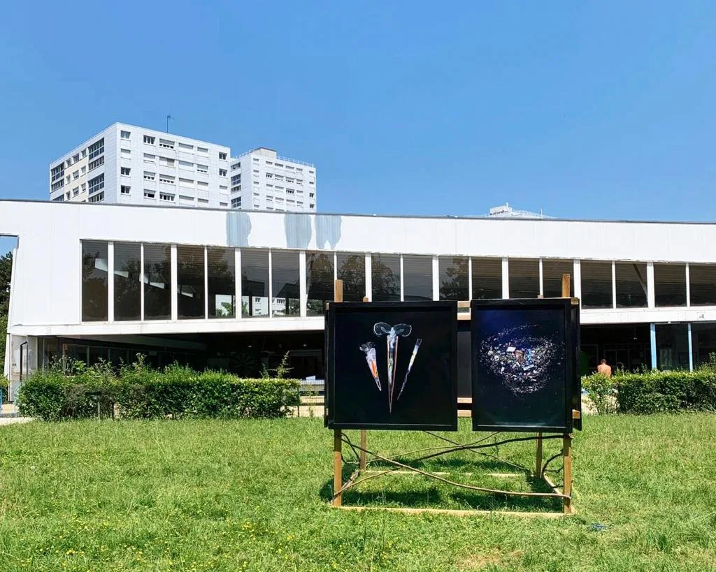 Deux tirages de plancton sur fond noir, dressés sur un chevalet en bois sur la pelouse, devant la façade vitrée de la piscine.
