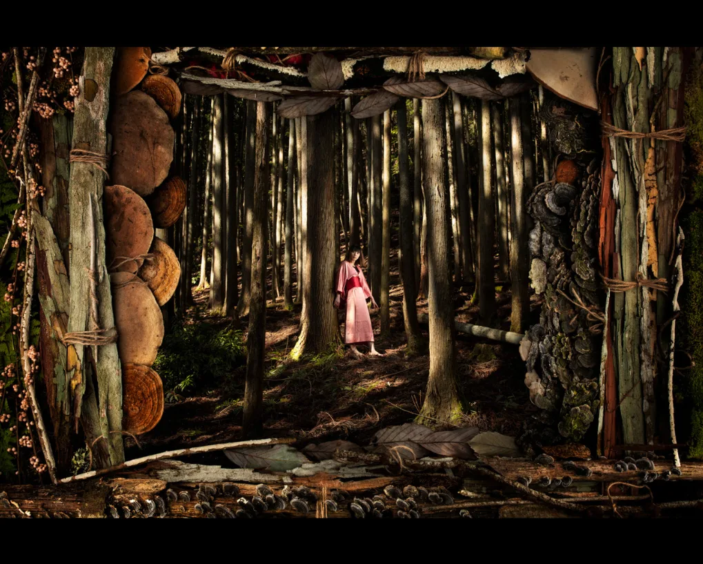 Une femme en robe rose dans une forêt de grands troncs, encadrée de piliers d'écorce et de champignons, par Nicolas Henry.