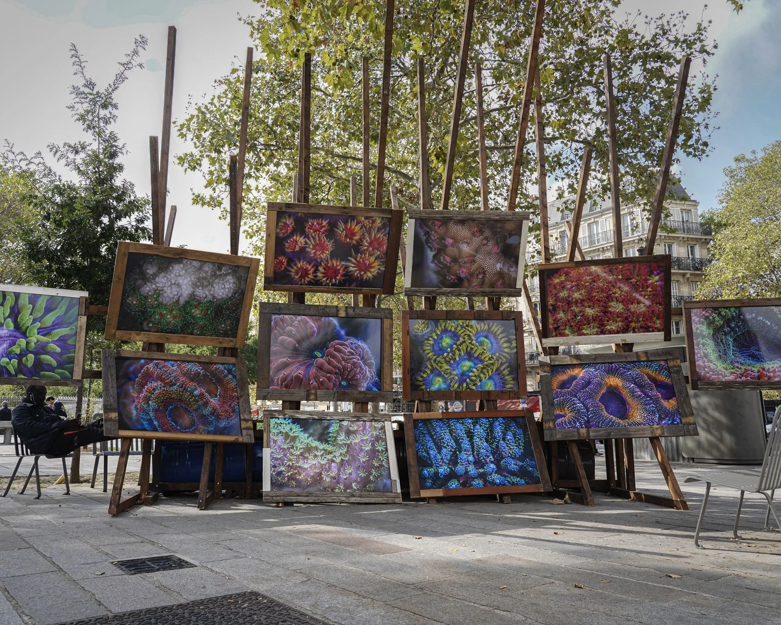 Une vingtaine de tirages de coraux aux couleurs vives posés sur des chevalets en bois, sur une place pavée bordée d'arbres, place de la Bastille.