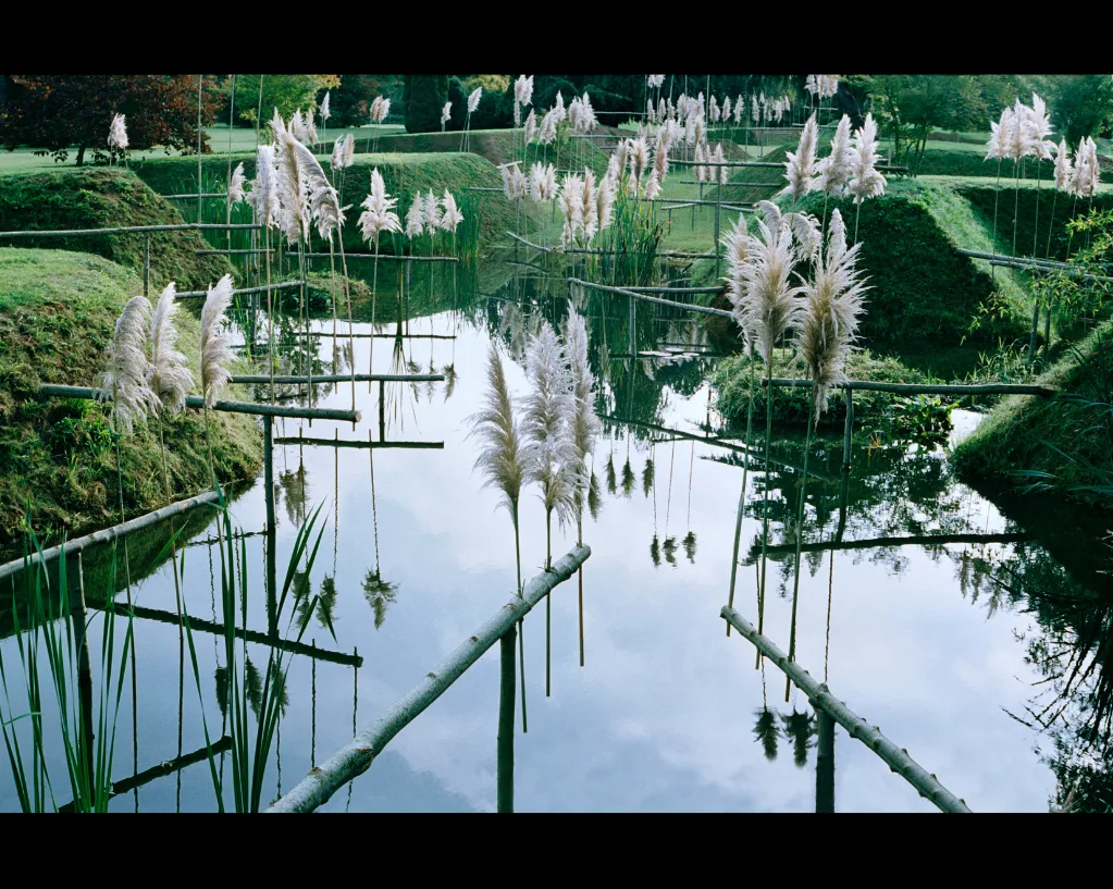 Plumets blancs portés par des tiges de bambou au-dessus d'un plan d'eau qui les reflète, entre des berges herbeuses, par NILS-UDO.