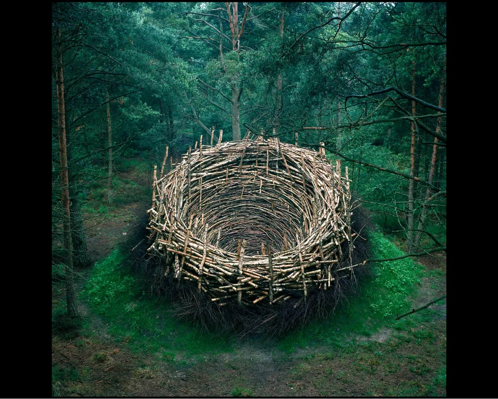Nid géant tressé de branches et de piquets de bois, posé sur la mousse au milieu d'une forêt de pins, par NILS-UDO.