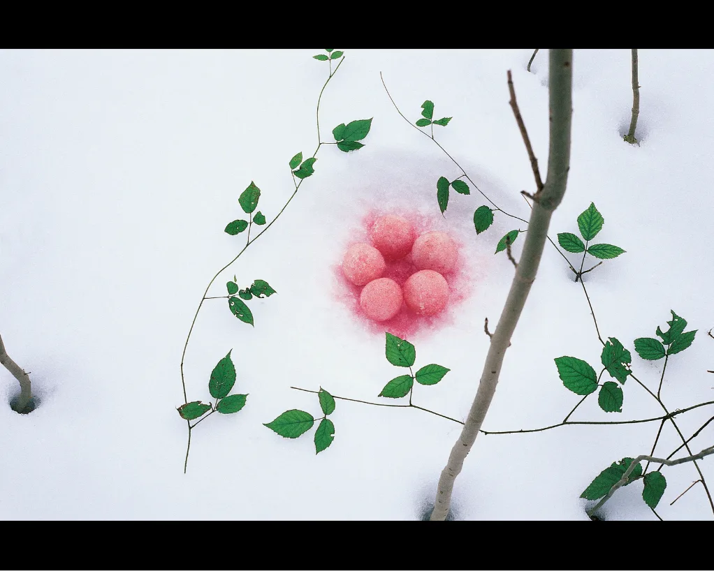 Cinq boules de neige teintées de rose au creux de la neige, entre de fines tiges aux feuilles vertes, œuvre de NILS-UDO.