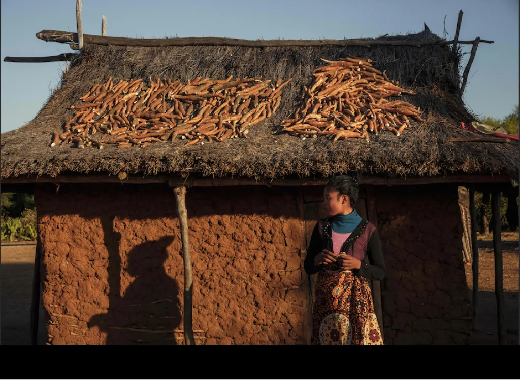 Une femme adossée au mur de terre d'une case au toit de chaume, où sèchent des rangées de tubercules orangés, à Madagascar.