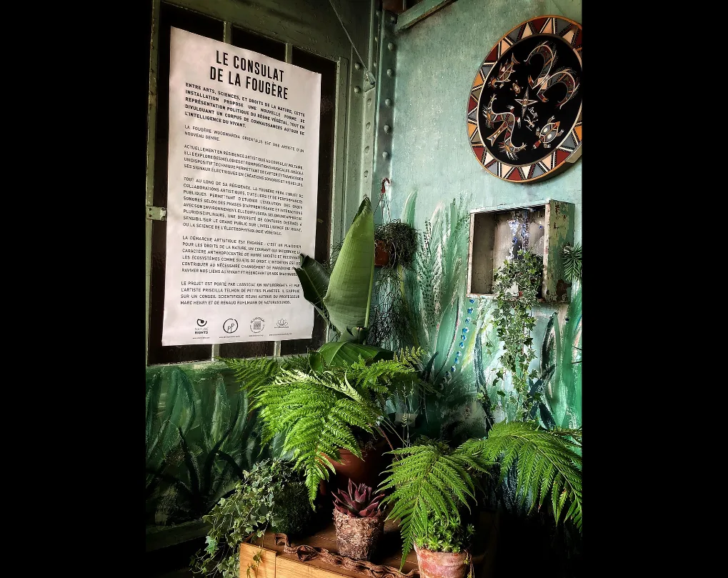 Installation « Le Consulat de la Fougère » : fougères et plantes en pots devant un mur peint de feuillages, une affiche et une assiette décorée.