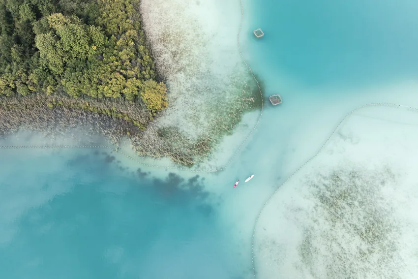 Vue aérienne du lac d'Aiguebelette : eaux turquoise, rive boisée, roselières et deux pagayeurs sur leurs planches.