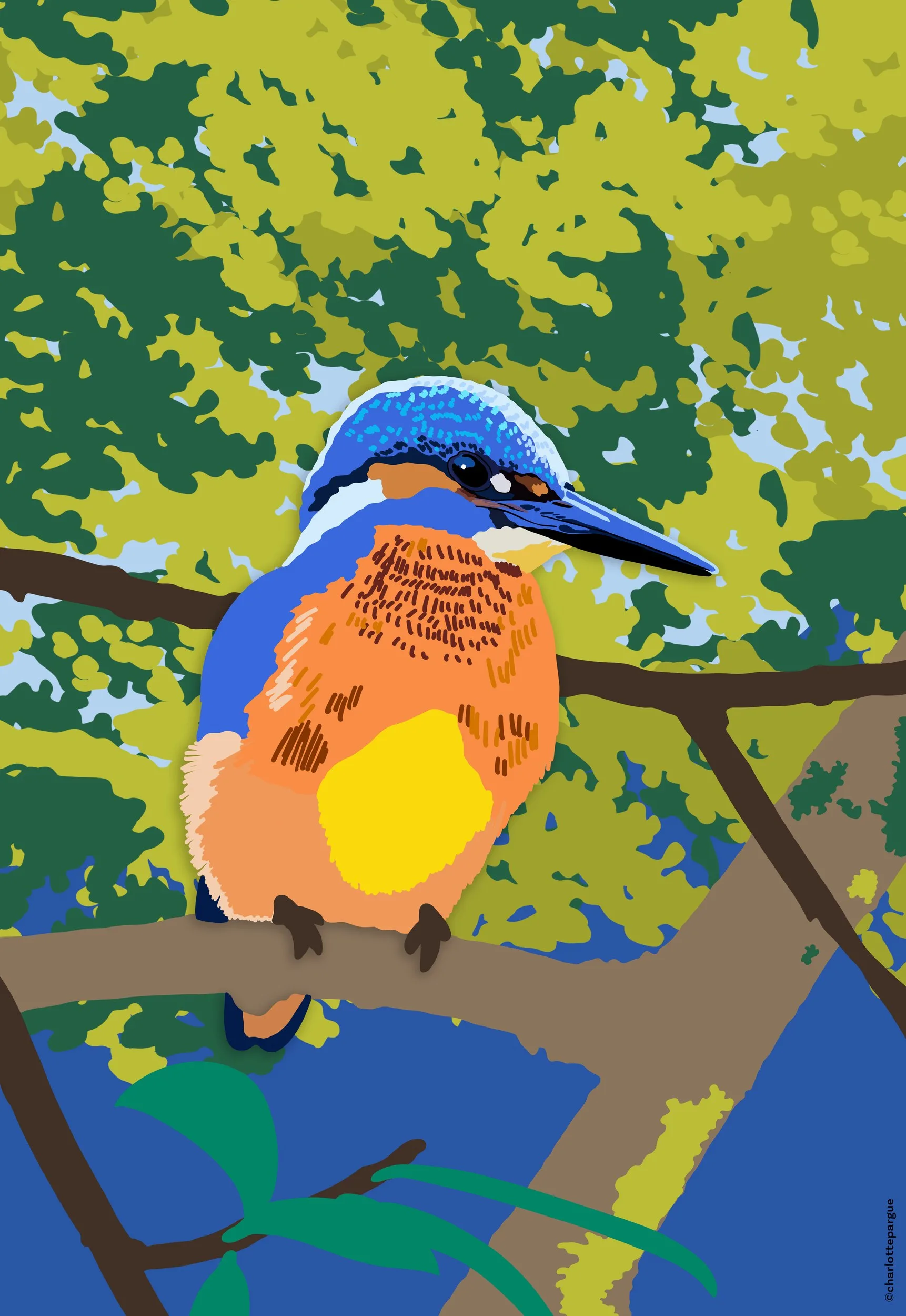 Illustration de Charlotte Pargue : un martin-pêcheur au dos bleu et au ventre orange, perché sur une branche dans le feuillage.
