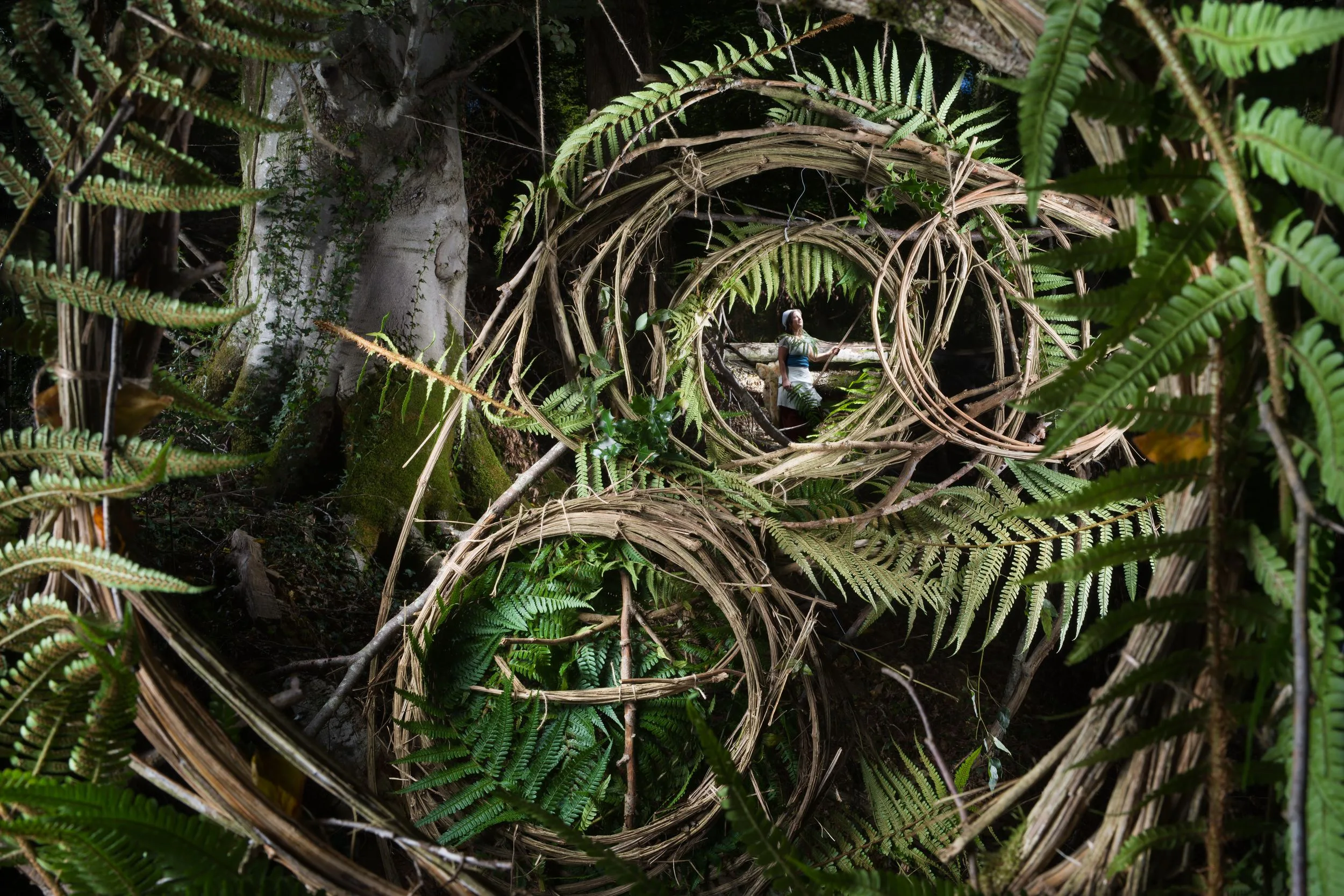 Sous-bois de fougères où des cercles de tiges tressées forment une sculpture, une personne debout au centre, par Nicolas Henry.