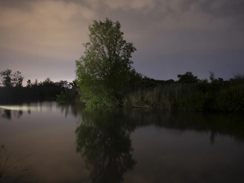 Paysage de nuit : un arbre au bord d'une eau immobile s'y reflète sous un ciel bas, éclairé de lueurs orangées.