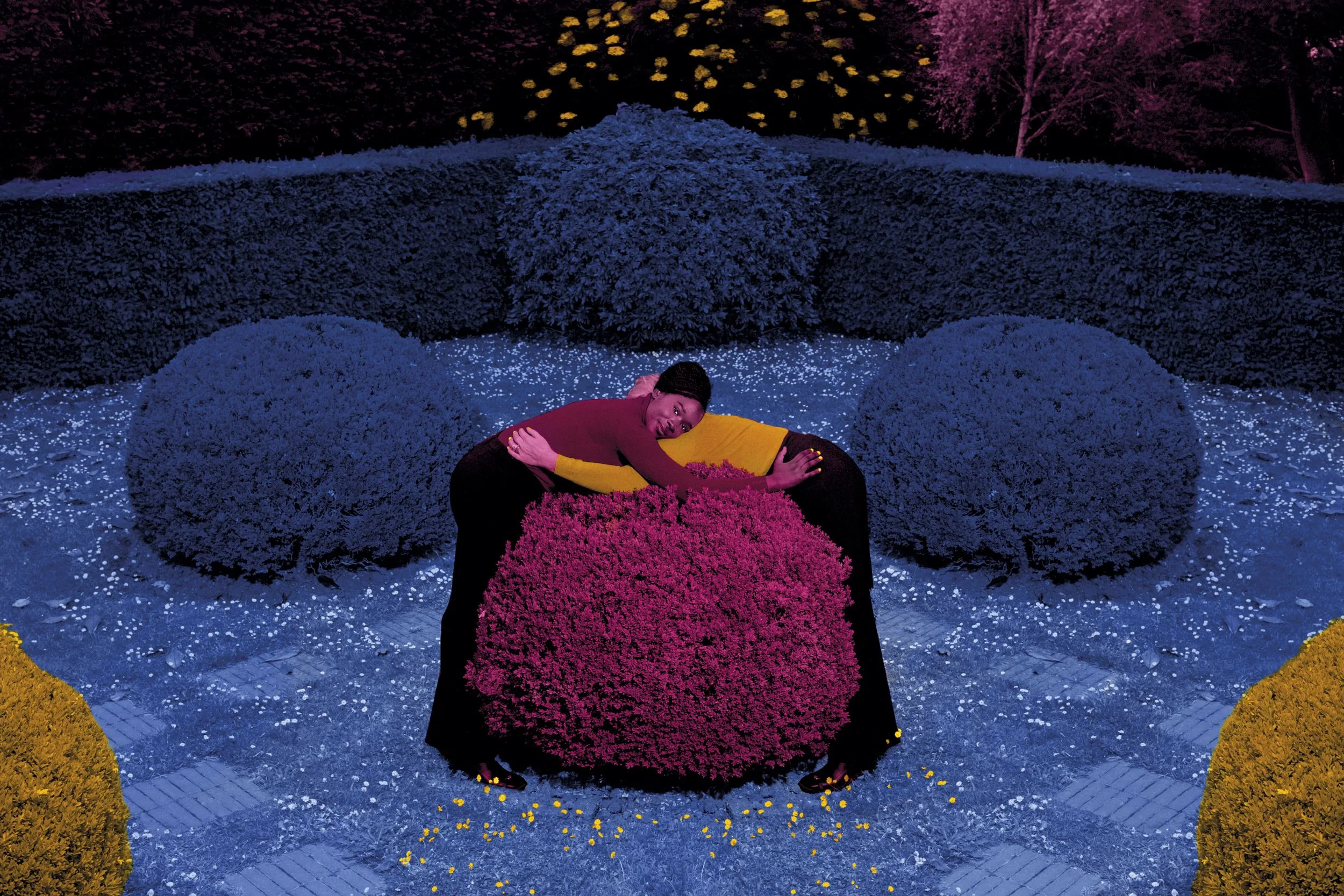 Deux personnes enlacées autour d'un buisson rose, dans un jardin à la française aux couleurs bleues et violettes irréelles.