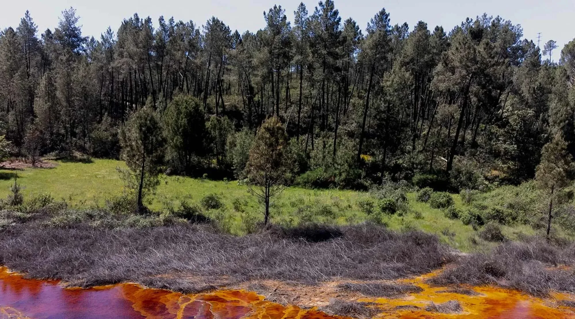 Une eau rouge et orangée, chargée de métaux, borde une lande grise au pied d’une forêt de pins.